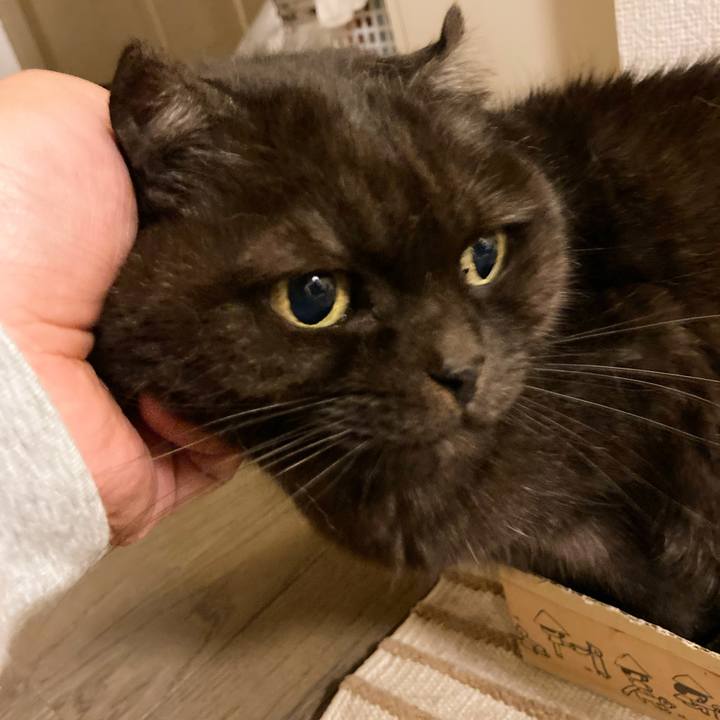 D1f4d58c d0ee 4102 853e 6afe9097274f 1635612660619