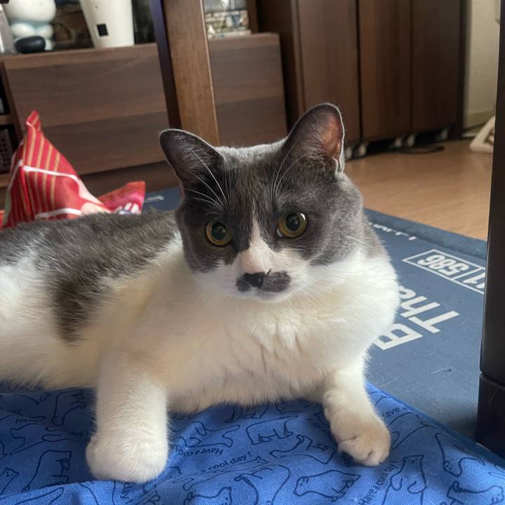 D1f50881 5c2e 49dc b3e7 c4a4b0d47f54 1725573402493