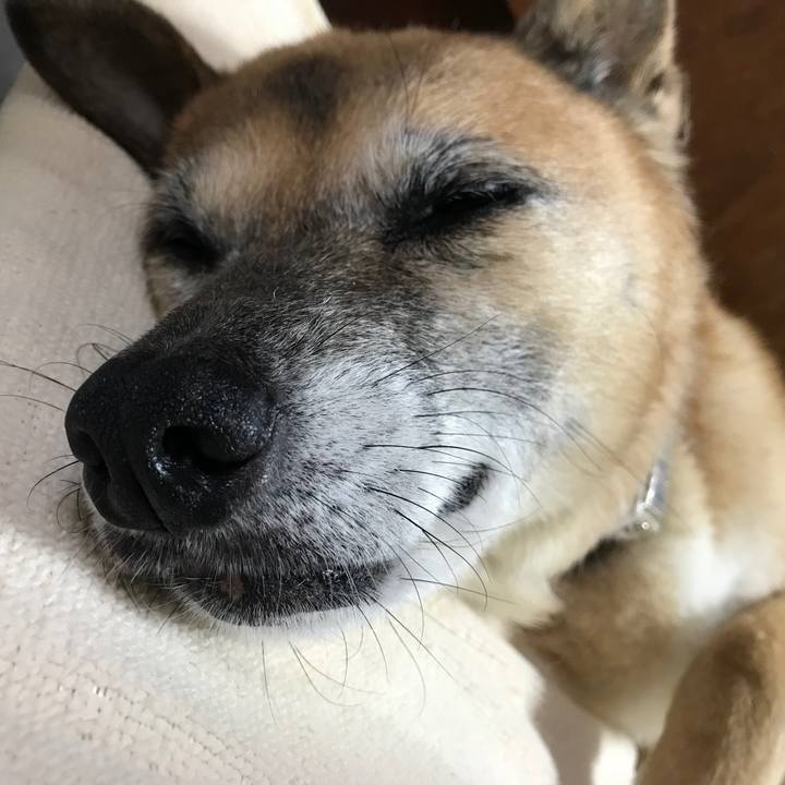 D1f527bf 5c00 4389 81ae be4840360bdf 1534568215624