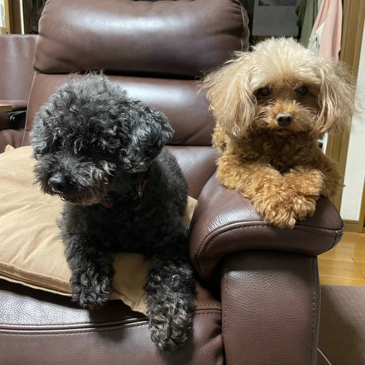 D1f56be6 826a 4935 919d 63f78be72465 1730716293484