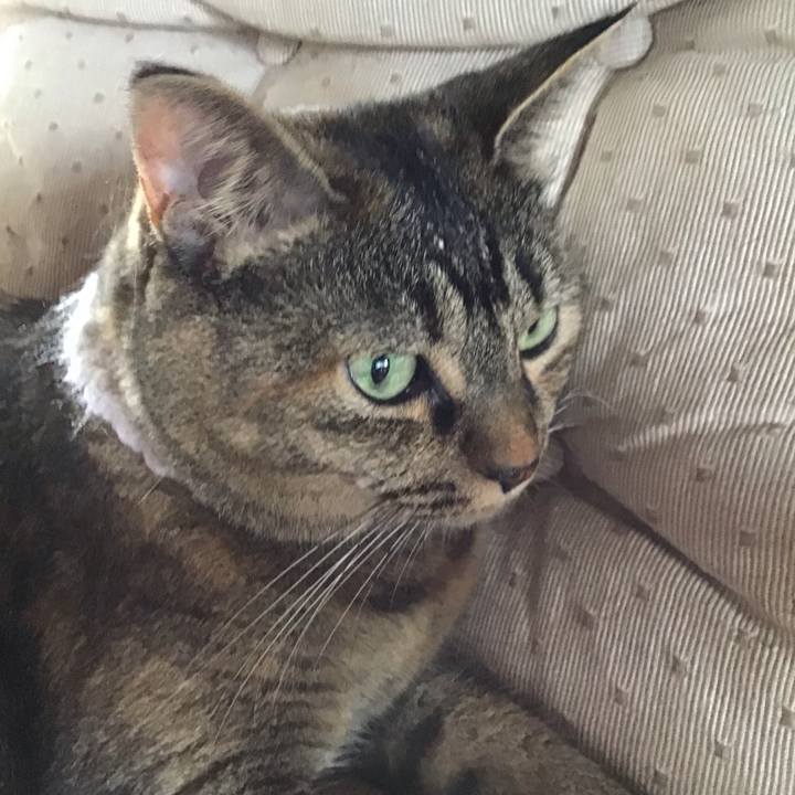 D1f589d5 008d 4bac 9053 9e1d89de509b 1755517422457