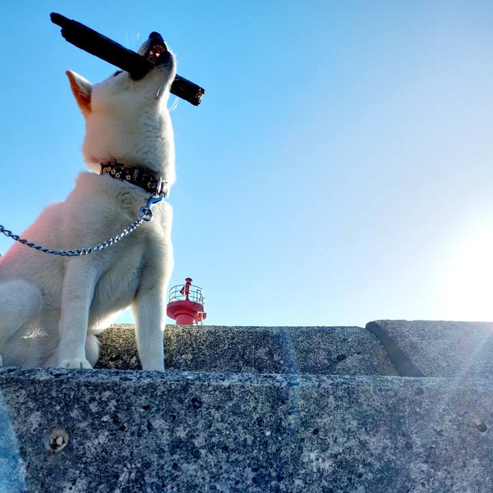 D1f5d1f1 405a 4d9d 8e08 8b34999c6593 1649059529817