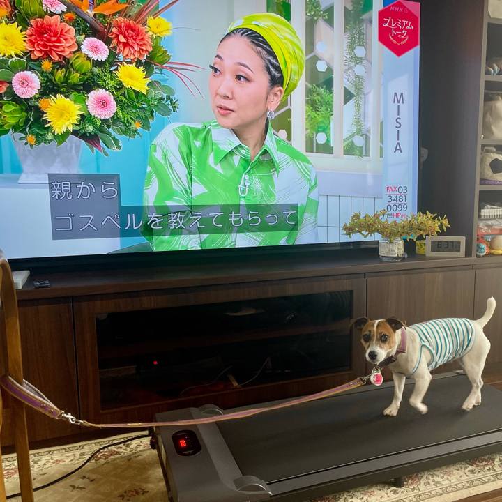 D1f5e4e3 dd23 4133 af52 600010eedc2d 1748566264422