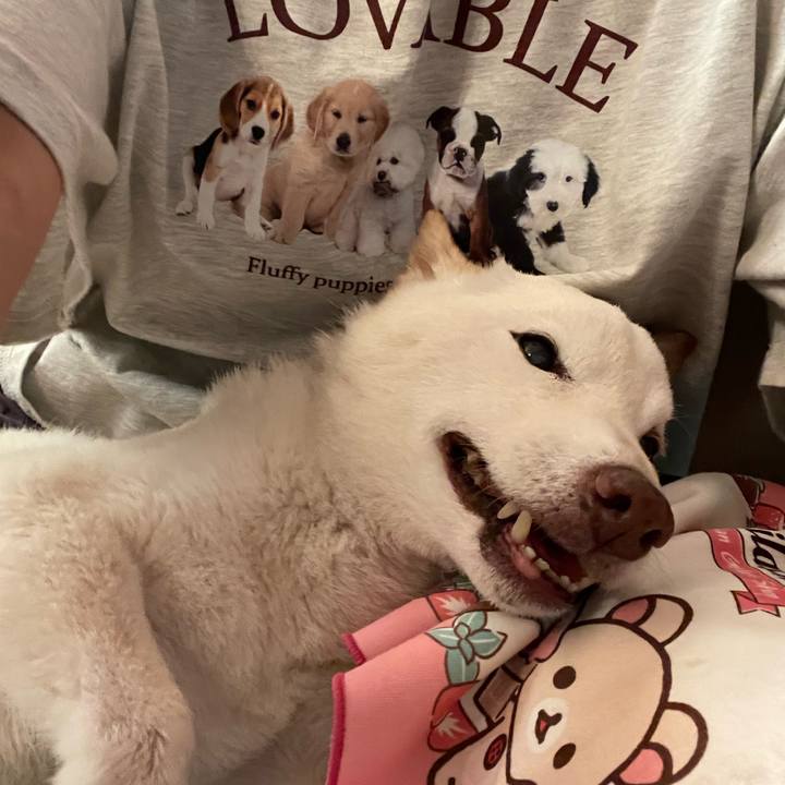 D1f604f7 bb1d 4b12 816c 53811d05d7d8 1665697316650