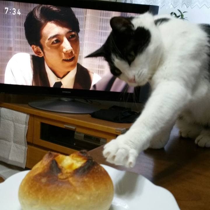 D1f6291f 1cb6 418e 8c1c b2479e799dc3 1516919991544