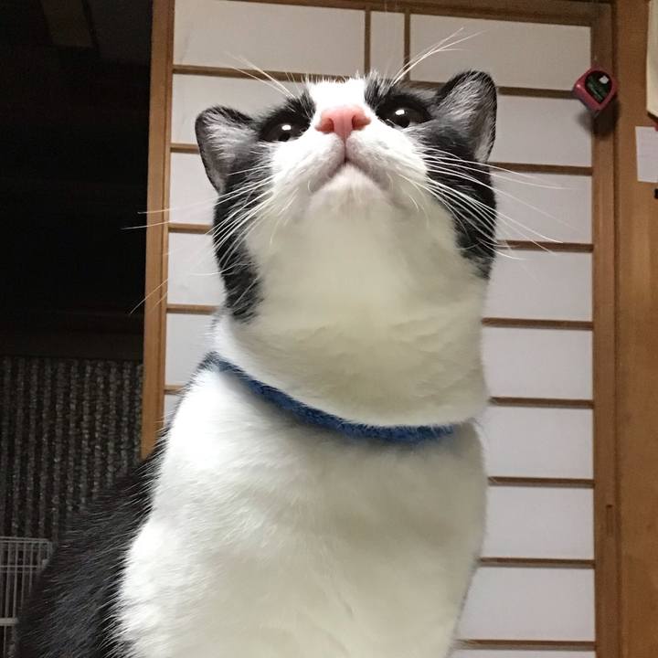 D1f66d51 e279 41a0 94a3 d7fd9e1e702a 1702551702409