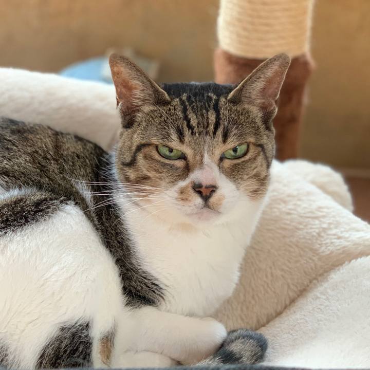 D1f67fc8 f1e5 4e54 ad11 f89897a2e315 1572138533862