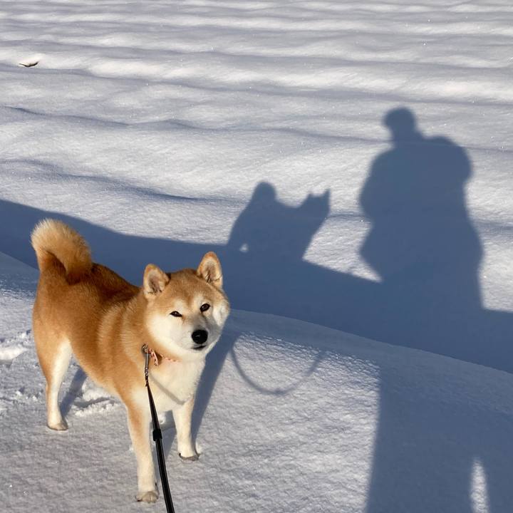 D1f68f33 521d 4bc3 bf49 b688c937cd83 1737873533099