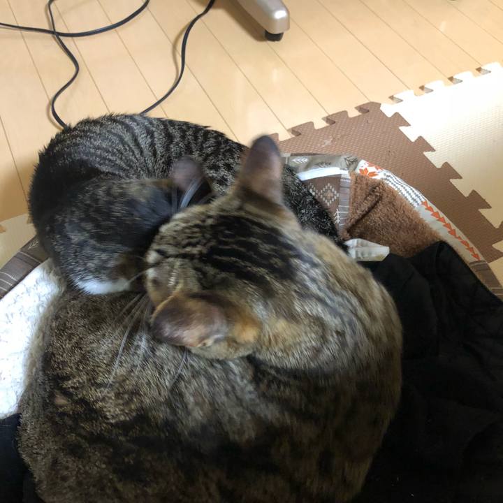 D1f69854 72ab 4069 a7ad 71359e4e37bb 1515420570419