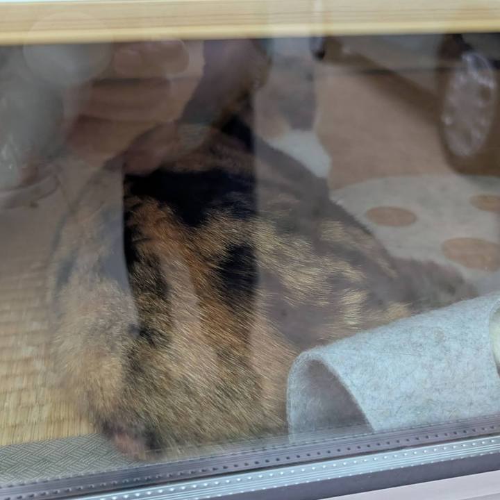 D1f69cb0 e60d 438d ba41 4630bd97b457 1752733735333