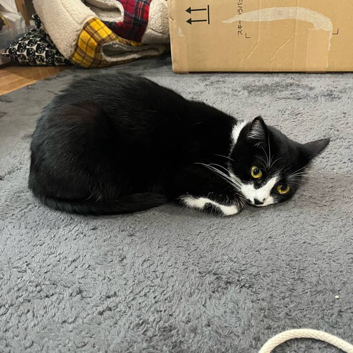 D1f6bb7b 8cff 4bb0 be79 2d653fdf0785 1679577602422