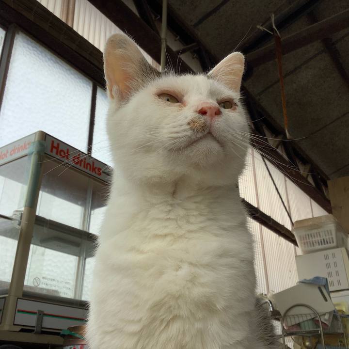 D1f6d0e5 08b5 486c 8135 a7242fc56c69 1593527369753