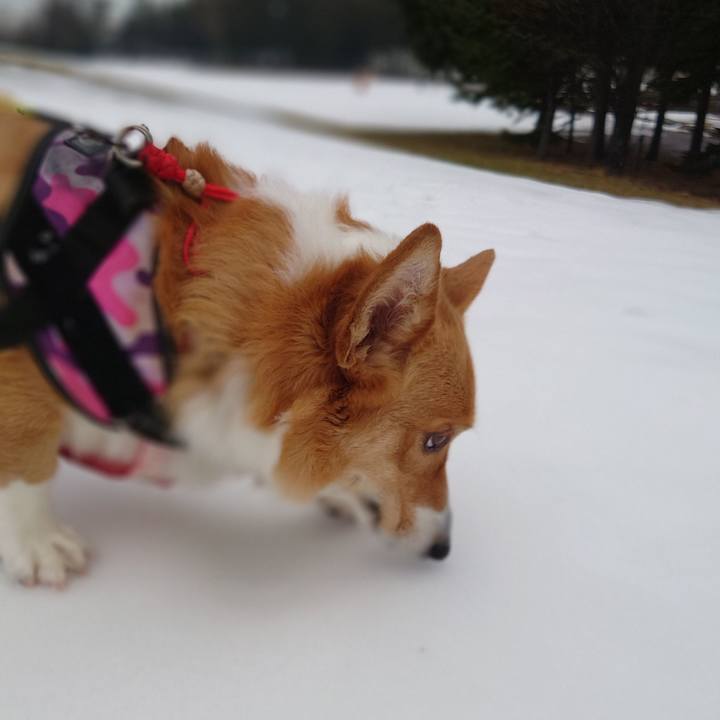 D1f6d3a1 d7fd 4023 b9f9 3a98f4d871fe 1767057973877