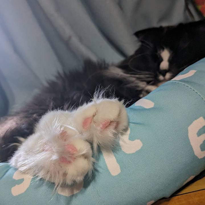 D1f6dafd 9713 4dd1 b9cd 737944677ea7 1713081565760