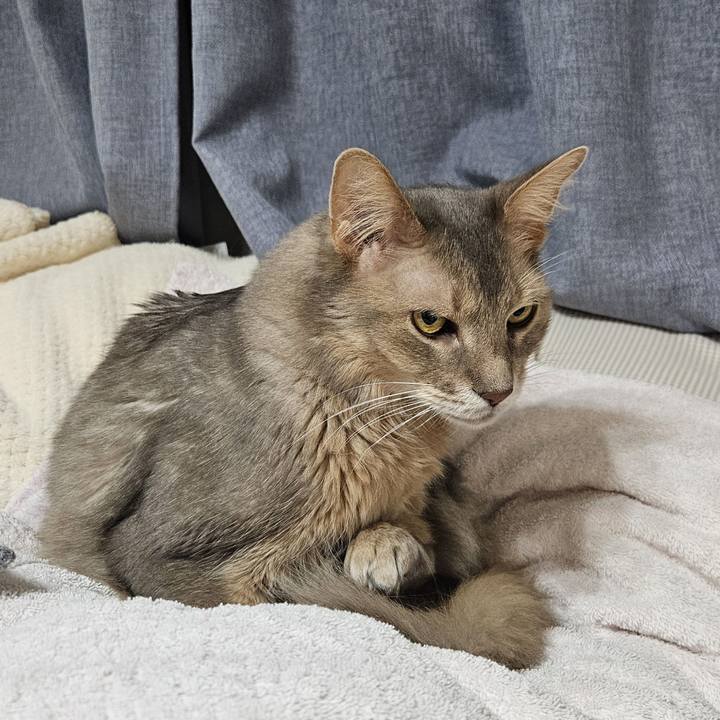 D1f6e5a2 5a4e 44da bd66 fbb4826abd84 1740929385594