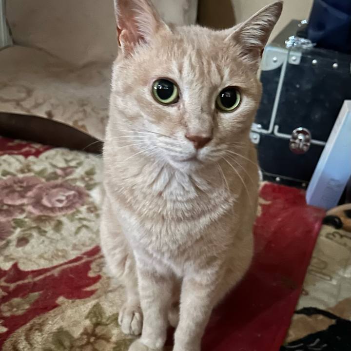 D1f7165e d1ff 4b63 a97d 745a9f512771 1760855461227