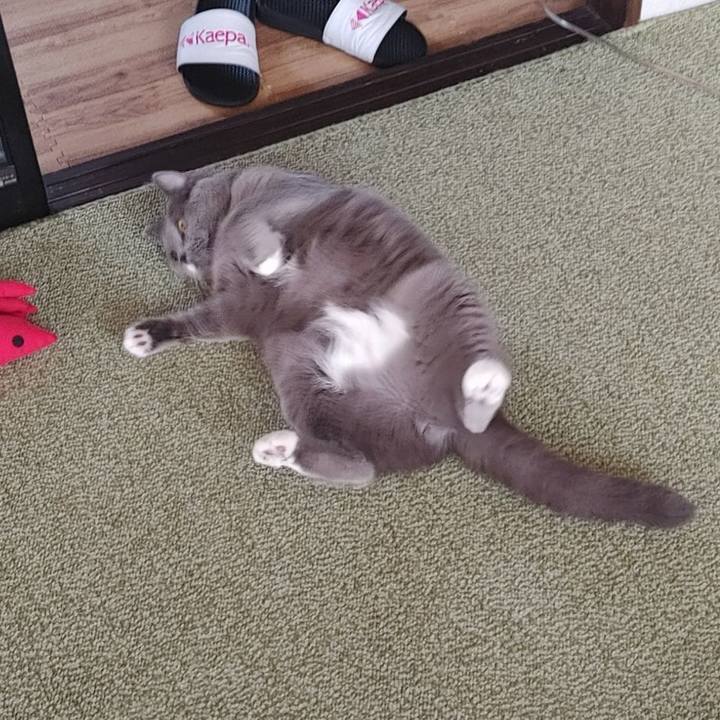 D1f762a5 5fe8 4087 ba73 802da34f0b75 1636264025380