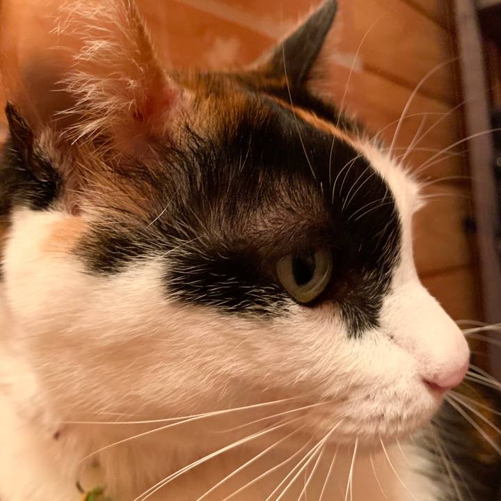 D1f76968 7c2d 4f99 be1c e5c7d07a759e 1581164710020