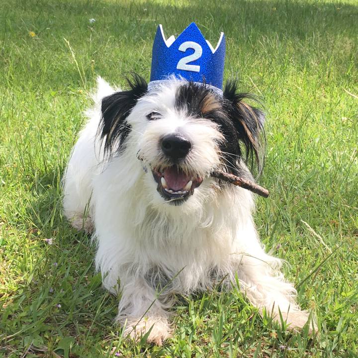 D1f785a1 3bcc 4997 a3e3 c24e2165d70d 1525990942494