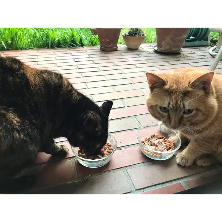 D1f7927a ad50 4282 9a6b ab74d9d3f178 1617439493527