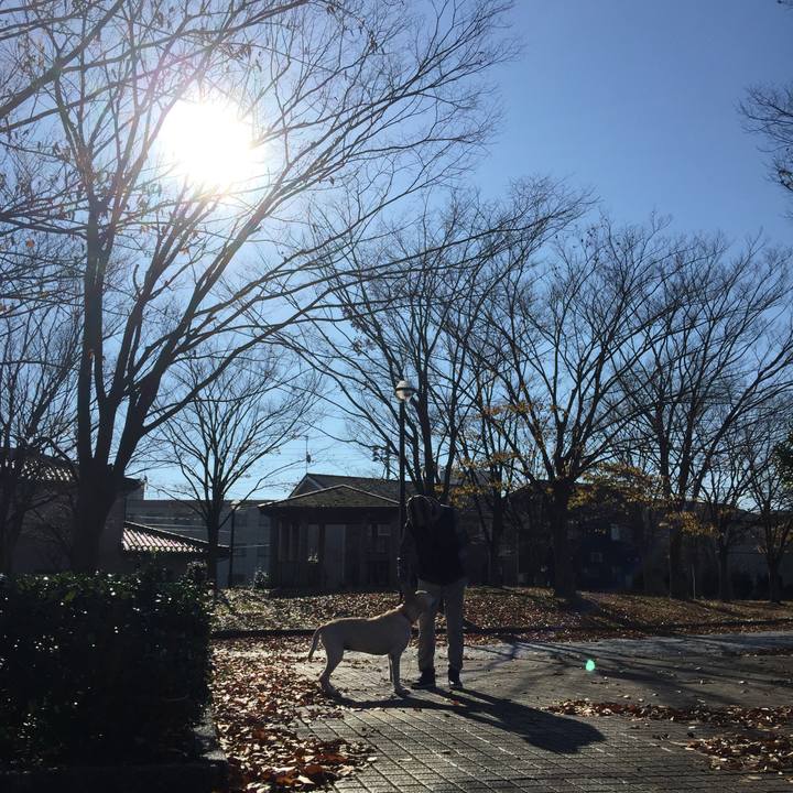 D1f7f993 7749 490f 850b bb408b85e14b 1511839779464