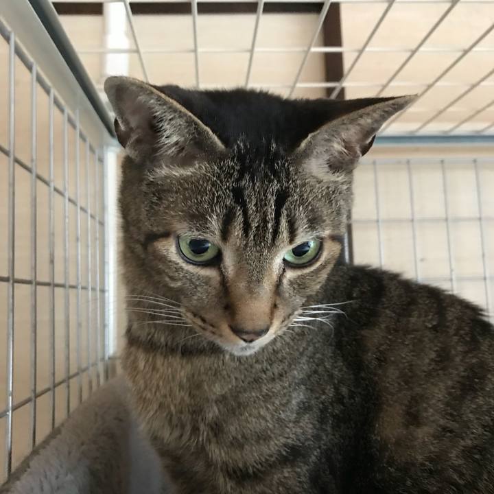 D1f81a9a 0438 4021 b7d2 c6c8b53d4bb4 1524530915352