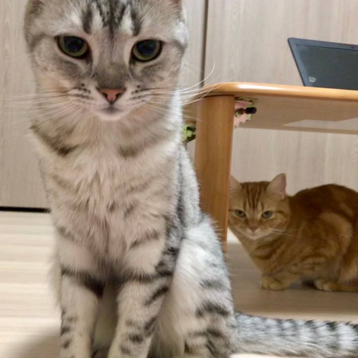 D1f838f2 5026 4b24 8c1f 534c9bc62f16 1527339831537