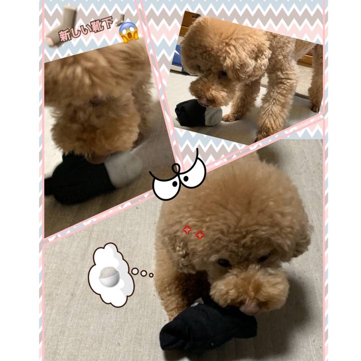 D1f84df4 f200 415d b646 592dd02883d5 1550314579609