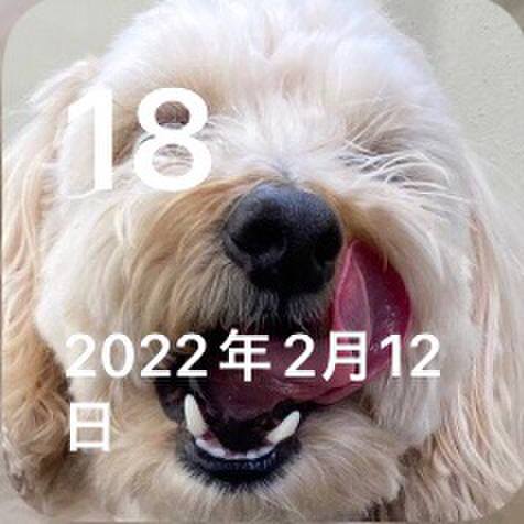 D1f85774 5bca 4081 bc47 a25a8aee35d6 1676699457952