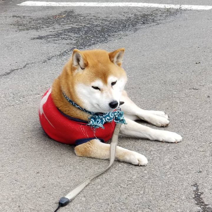 D1f86059 1226 4f5b 8fea ee4a23d906b1 1519962480440