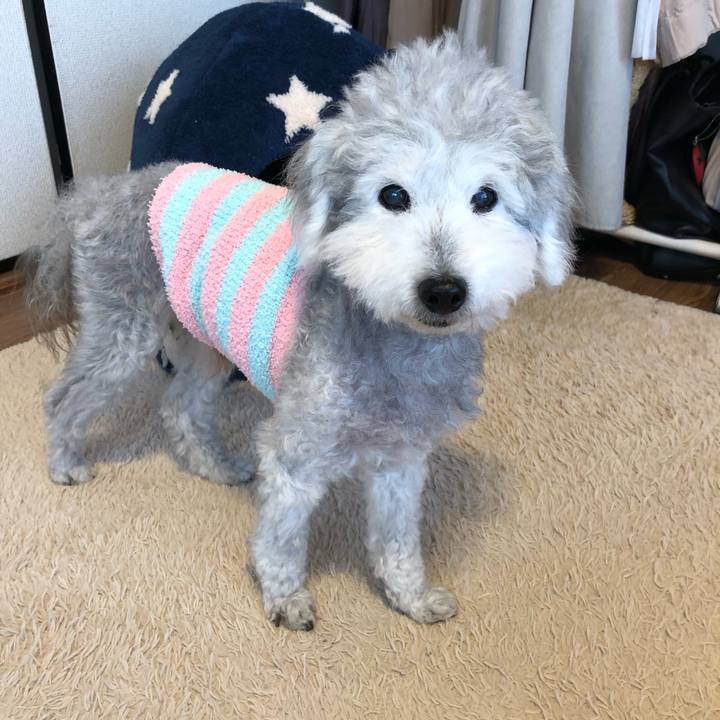 D1f887e1 8970 484f b70a 8494efd33751 1623627250314