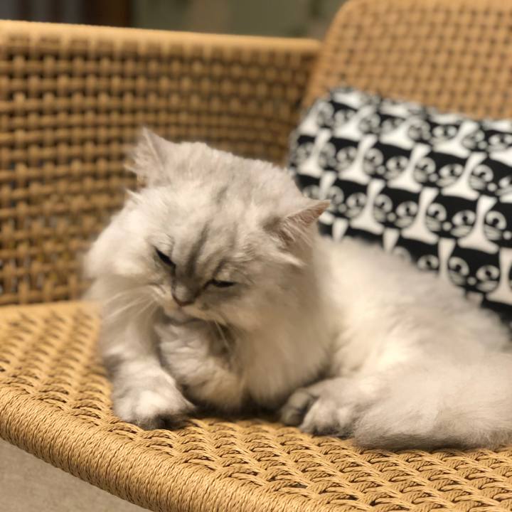 D1f89eb0 4a1c 4520 8a4c cda7ccbd7334 1566904952973