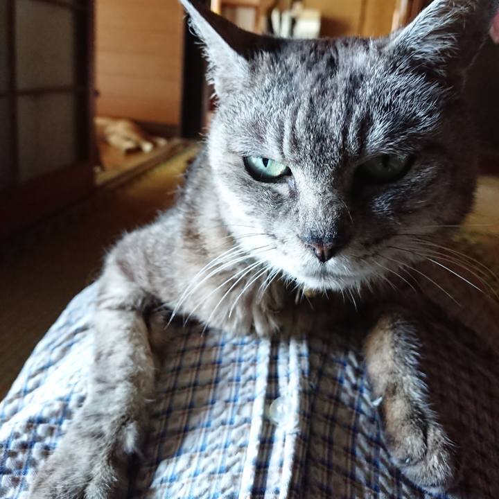 D1f8aff3 11dc 4d2f 8082 715ebdabb5e3 1566113417959