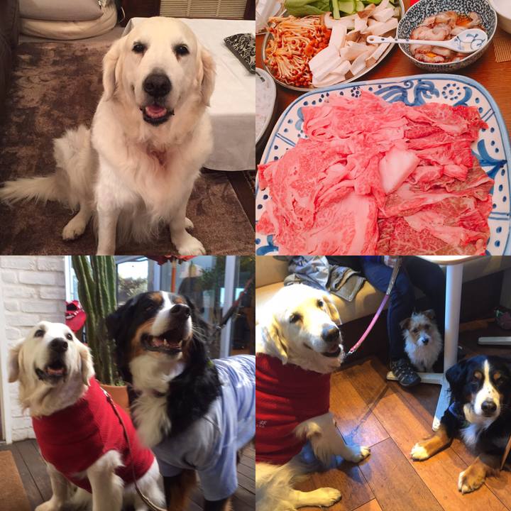 D1f8e31c b5b8 41c6 b486 ef3978f86898 1514978754885