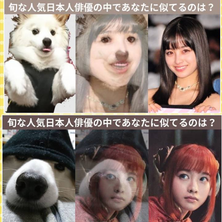 D1f8e3f3 0f8c 42ff b7b9 091d1aa6eda4 1528466208178