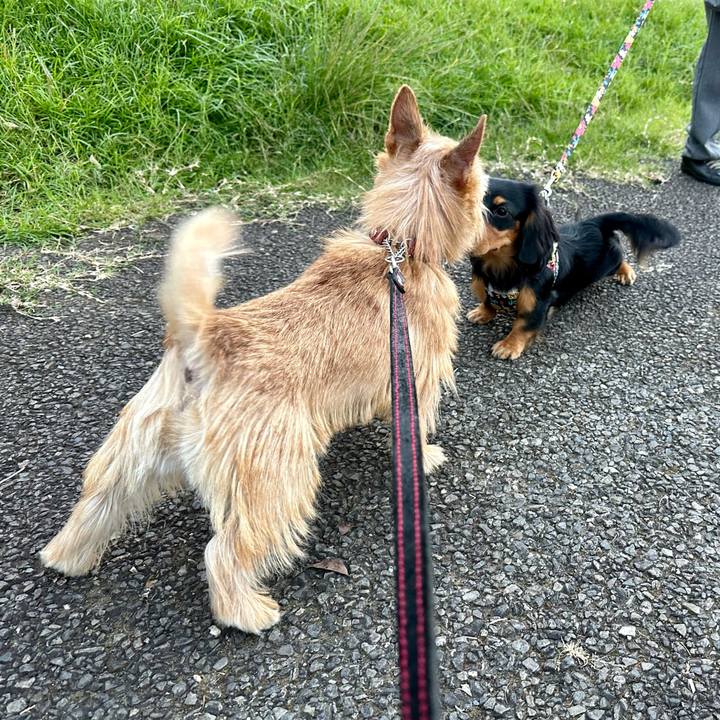 D1f907a8 52ba 4c90 8386 198d47b50407 1729171514809