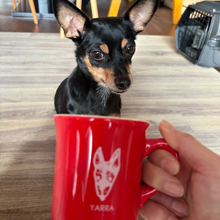 D1f93a3c cf05 4b38 8ad0 e1c00e369072 1761346410391