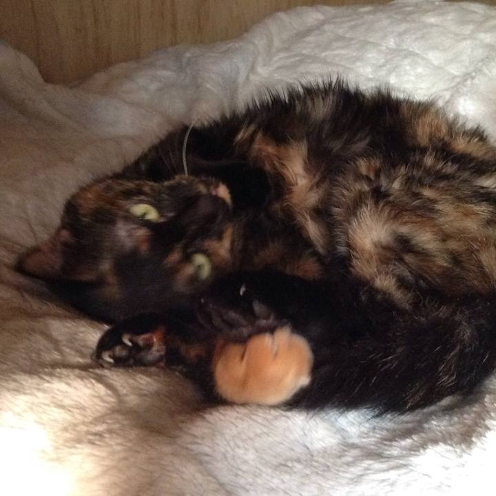 D1f95748 4fc6 4495 8477 d6677d5644ba 1553072570299