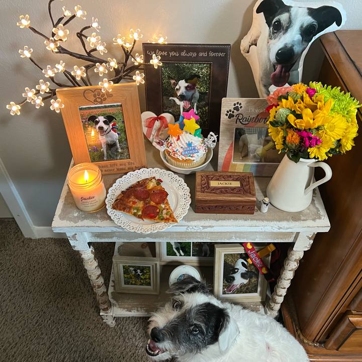 D1f99ec2 2d77 4bdb bf8f e262b7dccc4b 1692568495974