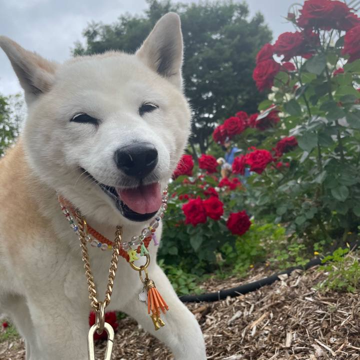 D1f9ccba 8a36 47b0 a019 5c9dea7c6bd3 1684574785974