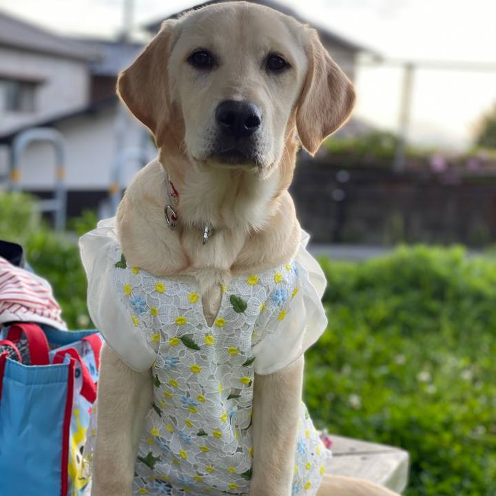 D1f9e07b fcb4 4531 87d9 9c0fa480b7a7 1618742490341