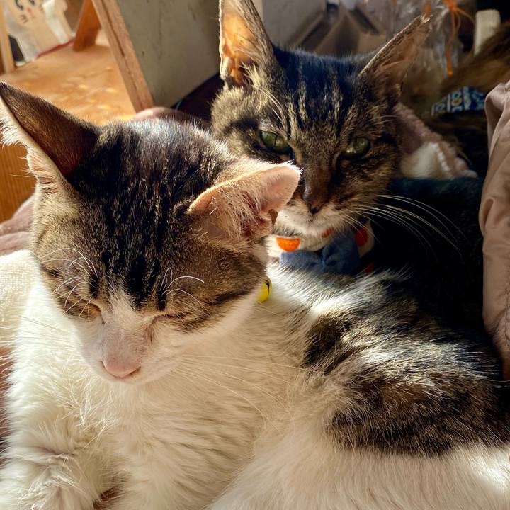 D1f9fdec b784 4da0 a054 d428f01558ee 1705813281244