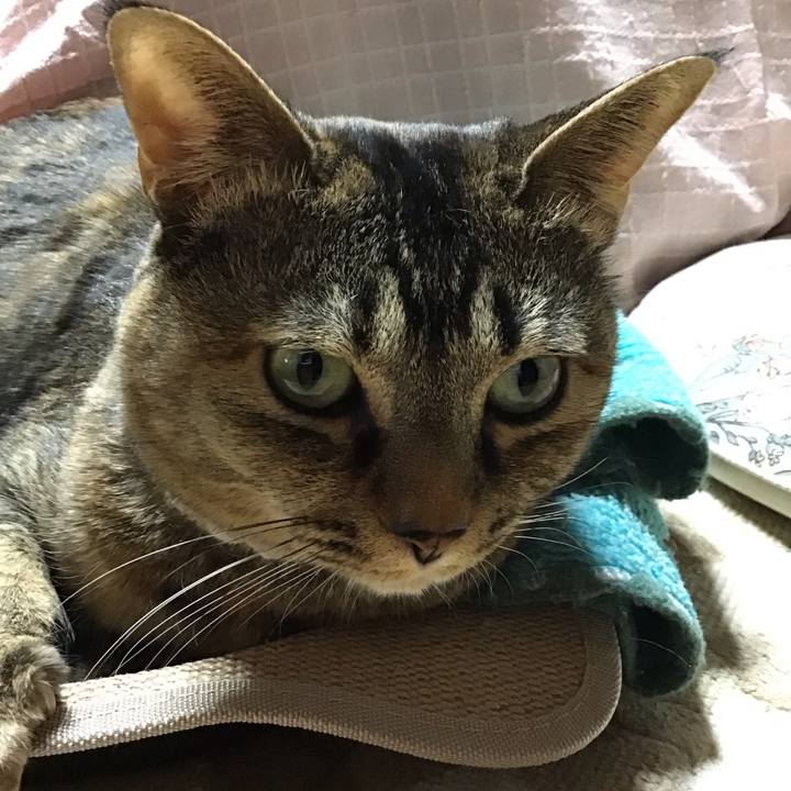 D1fa62b1 3586 4c6a b3fe 22ba5a264bdc 1739612781726