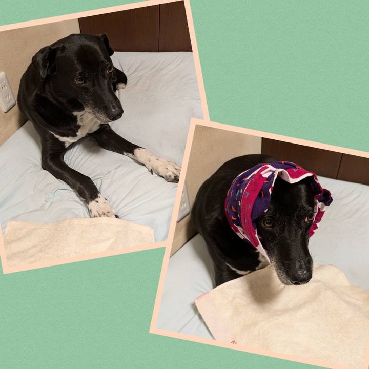 D1fa7342 e87a 45c1 9142 7fe816a5efac 1721905867068