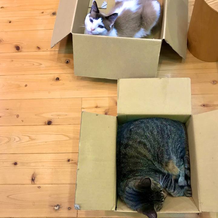 D1fa9444 2992 47d2 a134 d2fb86cf828d 1595986966695