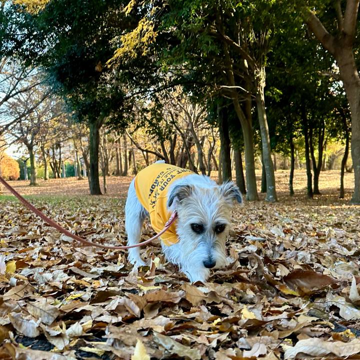 D1faf73d 5670 4d82 b513 04a673d4f655 1701242611113