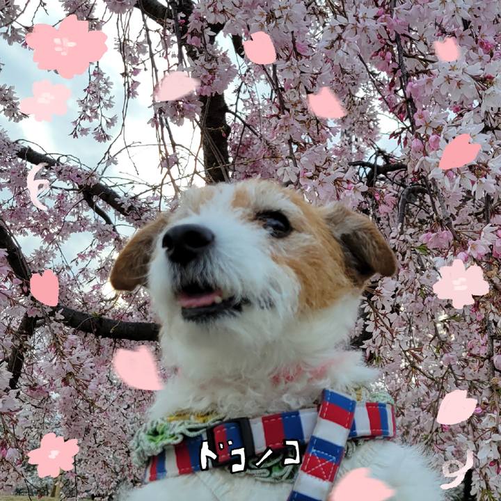 D1fb1fe7 80f5 4756 a41d 4f57f1cae088 1744346469245