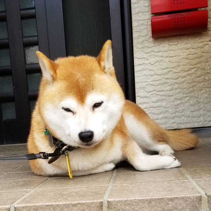 D1fb654d 0f75 4ff7 9a75 7ca9728d7ddd 1602380754625