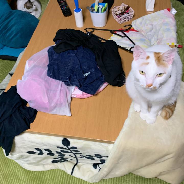 D1fb7779 7c46 4e8f 927b bee9037c7de8 1555422380653