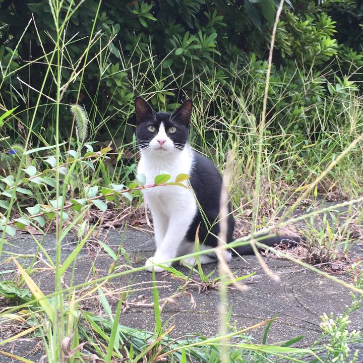 D1fb7dc6 3955 4e81 a97d 5e48e5a78044 1538286484707